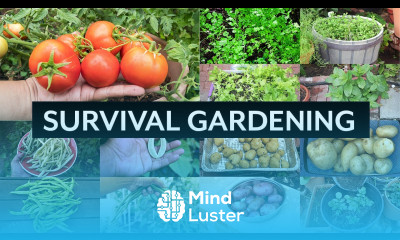 Survival Gardening Top 5 Vegetables to grow in your garden in an apocalypse or crisis