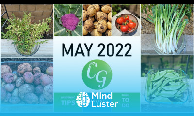 6 Tips for Preparing Your Garden for June A California Gardening May Episode