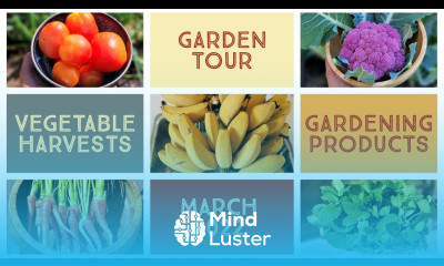 Vegetable Fruit Harvests Garden Tour Vitality Mars Hydro Giveaway Gardening Tips Tricks