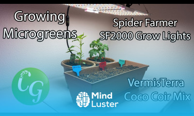 Growing Microgreens indoors with Spider Farmer Grow Light SF2000 and Vermisterra Coco Coir Mix