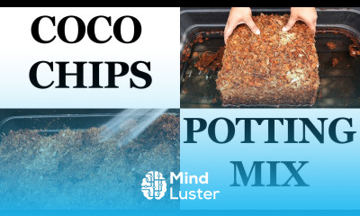 Coco Coir Chips Based Potting Mix Well Draining DIY Potting Mix