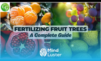 Optimal Fertilizing for Fruit Trees Comprehensive Schedule Guide for Lush Yields