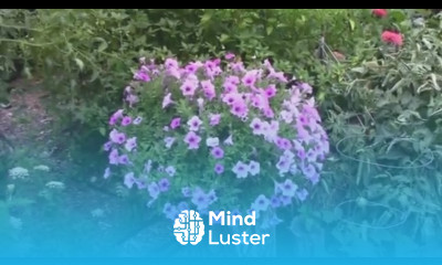 Planting a Hollow Log Flower Pot and Watching it Grow All Summer