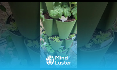 Greenstalk Planter Update For Late April garden gardening