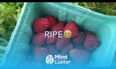 U Pick Raspberry Tips