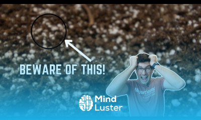 Before You Make Your Own Seed Starting Mix WATCH THIS