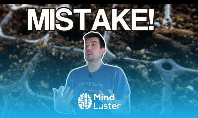 The EASIEST Seed Starting Mistakes To Avoid