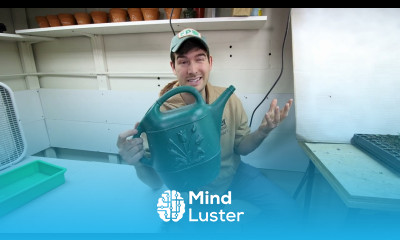 Grow Room Must Haves for Indoor Seed Starting