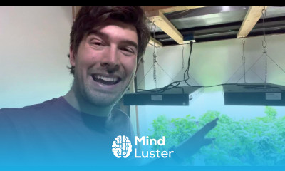 Super Simple Indoor Garden Setup Walkthrough Anyone Can Do