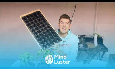 Biggest Mistakes Made When Starting Seeds Indoors