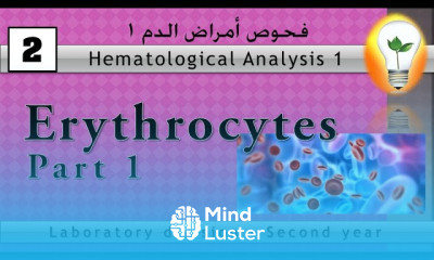 Hematology 2 Erythrocytes part 1 كرات الدم الحمراء