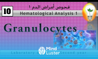Hematology 10 Granulocytes خلايا الدم البيضاء ج2