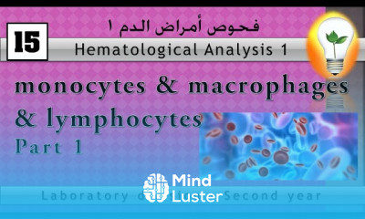 Hematology 15 monocytes macrophages lymphocytes part 1