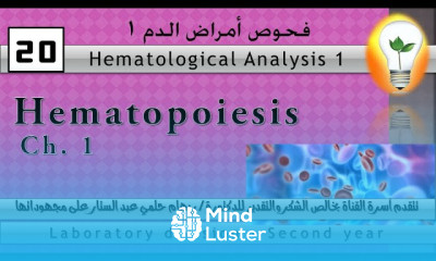 Hematology 20 Ch 1 Hematopoiesis تكوين الدم