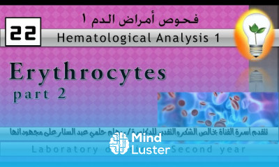 Hematology 22 Erythrocytes part 2 كرات الدم الحمراء ج2