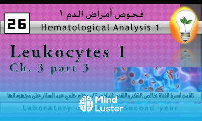 Hematology 26 leukocytes part 1 كرات الدم البيضاء ج1