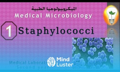 Medical Microbiology 1 Staphylococcus المكورات العنقودية