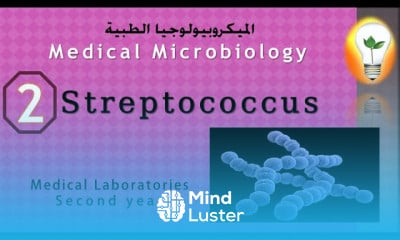 Medical Microbiology 2 Streptococcus البكتريا العقدية السبحية