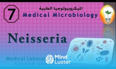 Medical Microbiology 7 Neisseria النيسيريا