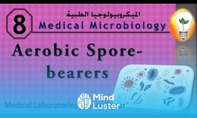 Medical Microbiology 8 Aerobic spore bearers البكتريا الهوائية التي تكون كبسول