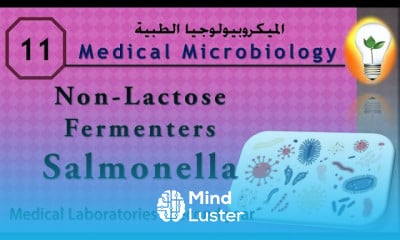 Medical Microbiology 11 Salmonella السالمونيلا