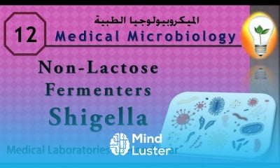 Medical Microbiology 12 shigella الشيجلا
