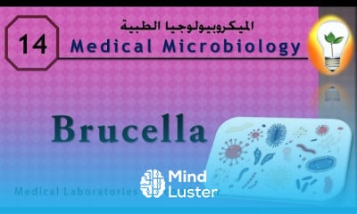 Medical Microbiology 14 ch 12 Brucella البروسيللا