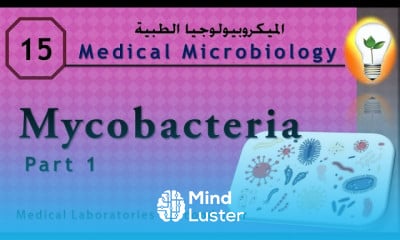 Medical Microbiology 15 ch 13 Mycobacteria part 1 ميكوبكتيريا ج 1
