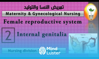 Maternity Nursing 2 Female reproductive system part 2 الجهاز التناسلي الأنثوي