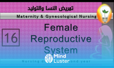 Maternity Nursing 16 Female reproductive system complete الجهاز التناسلي للأنثى