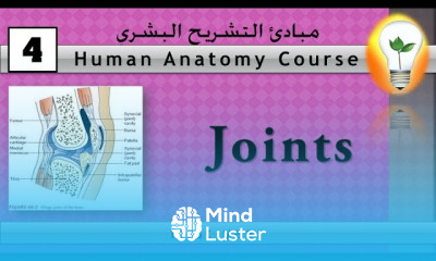 Human Anatomy Course 4 – Articular System Joints تركيب وتشريح المفاصل