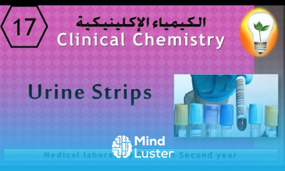 Clinical Chemistry 17 Urine Strips شرائط البول