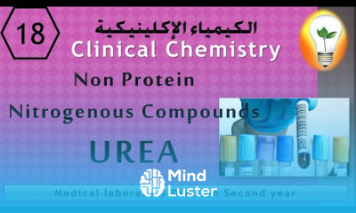 Clinical Chemistry 18 Non Protein Nitrogenous Compounds UREA اليوريا المركبات غير النيتروجينية