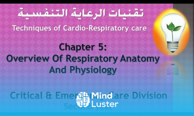 CardioRespiratory care Respiratory tract Anatomy And Physiology تشريح وفسيولوجي الجهاز التنفسي