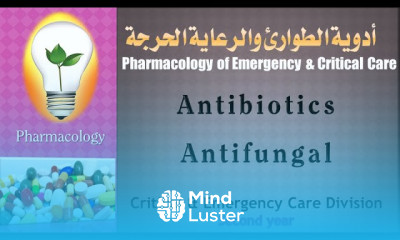 Pharmacology –lecture 14 Antibiotics – Antifungal المضادات الحيوية – مضادات الفطريات