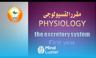 Autonomic Nervous system Physiology first year الجهاز العصبي اللاإرادي فسيولوجي الفرقة الأولى