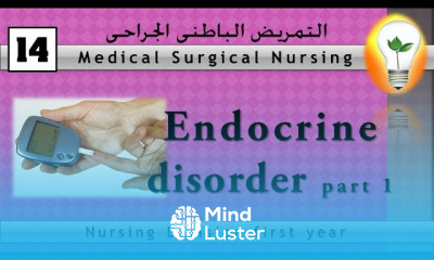 Medical surgical nursing 14 Endocrine Disorder part 1 – diabetes mellitus داء السكري
