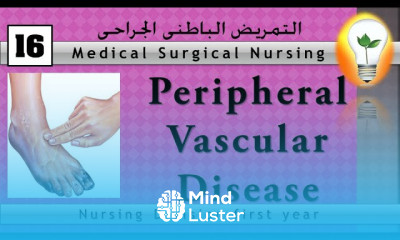 Medical surgical nursing 16 peripheral vascular disease أمراض الأوعية الدموية المحيطية