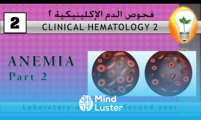 Clinical Hematology 2 Anemia part 2 الأنيميا ج2