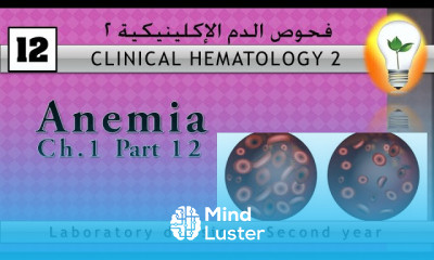 Clinical Hematology 12 Anemia part 1 الأنيميا جزء 1