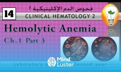 Clinical Hematology 14 Hemolytic Anemias الأنيميا التكسيرية