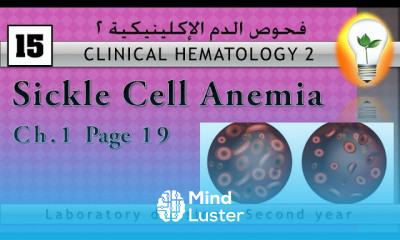 Clinical Hematology 15 Sickle Cell Disease الأنيميا المنجلية