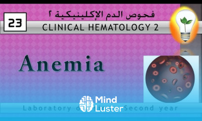 Clinical Hematology 23 Anemia part 2 الأنيميا ج2