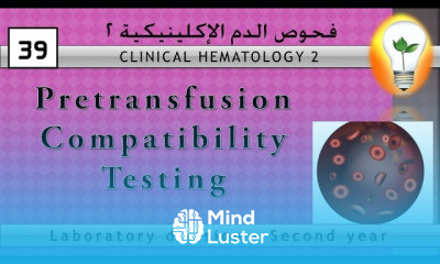 Clinical Hematology 39 Pretransfusion Compatibility Testing اختبارات التكامل قبل نقل الدم