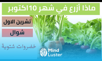 ماذا ازرع في شهر 10 اكتوبر تشرين الاول شوال الزراعة الشتوية