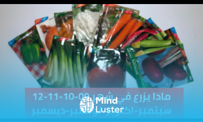 مادا يزرع في شهر 9 10 11 12 خضروات شتوية زراعة شتوية