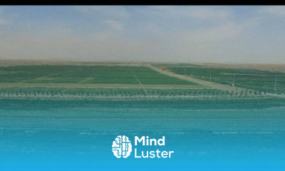 New technology in China turns desert into land rich with crops