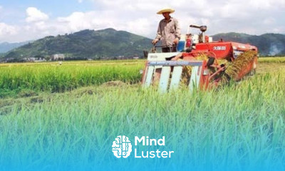 China to modernize restructure agriculture sector