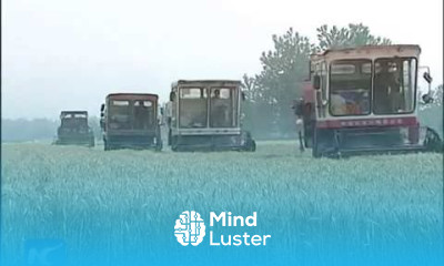 Summer wheat harvest kicks off in China