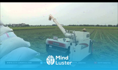 Agricultural tech in China beats the odds